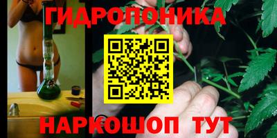 прущая мука Пугачёв