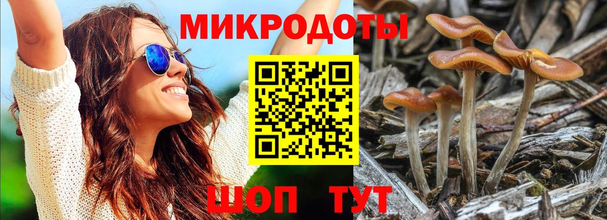 Ржев  Псилоцибиновые грибы Magic Shrooms  Вход с VPN 